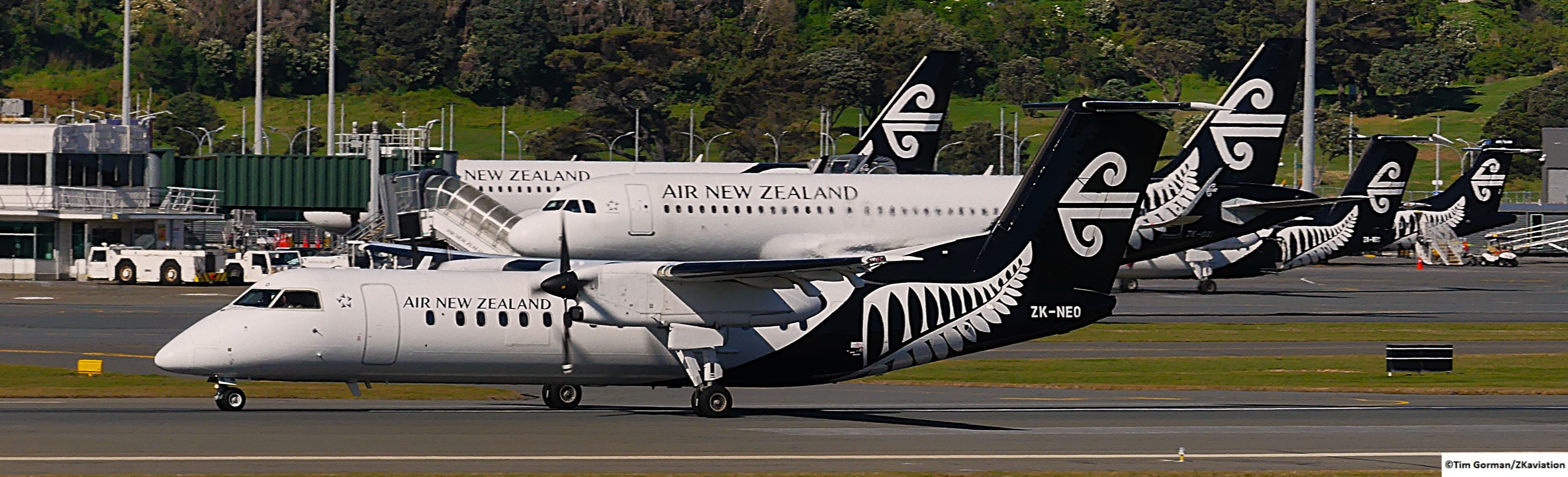 Air New Zealand dash 8 q300 taking off