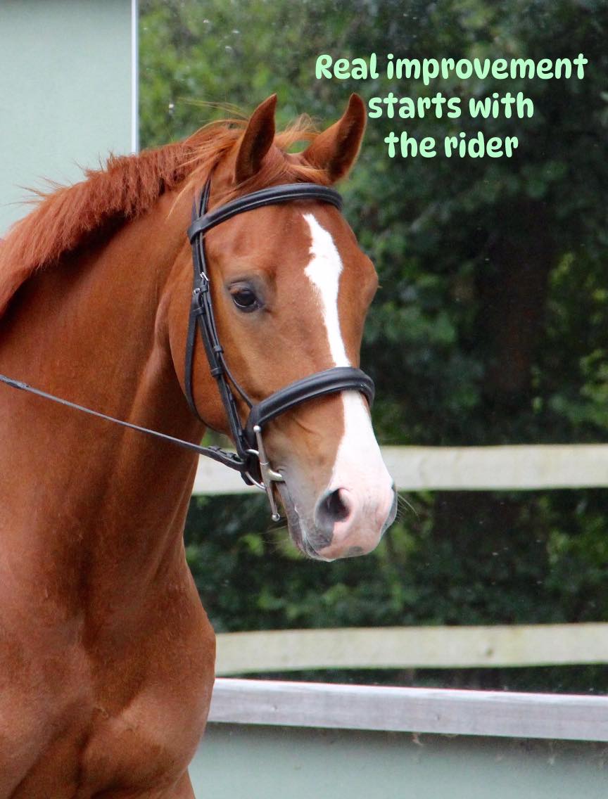 Coaching the rider to train the horse. Karen Whiston BHSI