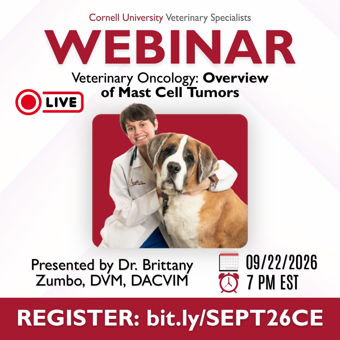 Cornell University Veterinary Specialists | Stamford CT