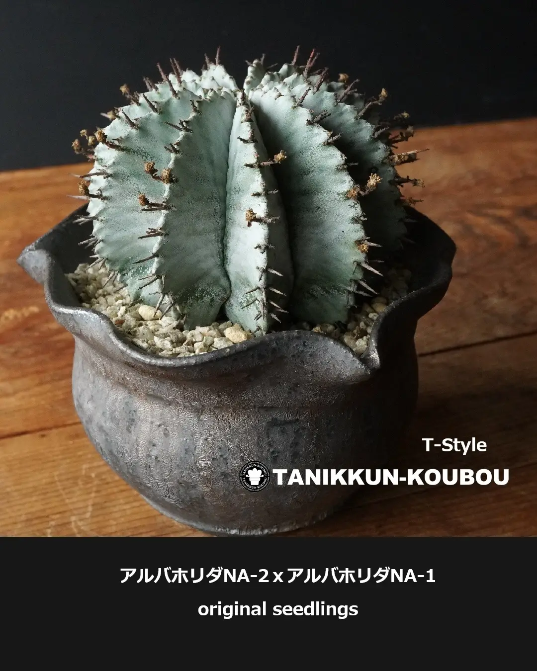 たにっくん工房 - たにっくん工房 added a new photo.