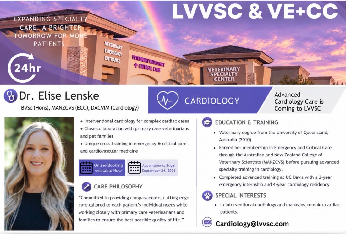 Veterinary Emergency + Critical Care | Las Vegas NV
