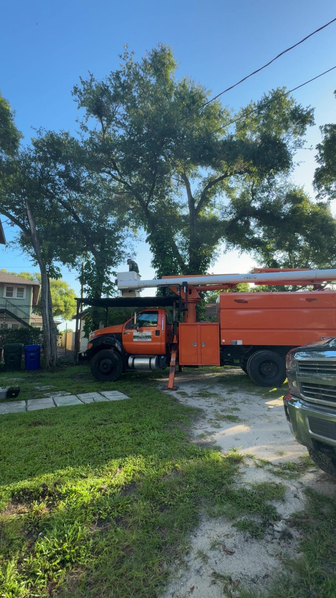 Jims Tree Service added a new photo —... - Jims Tree Service