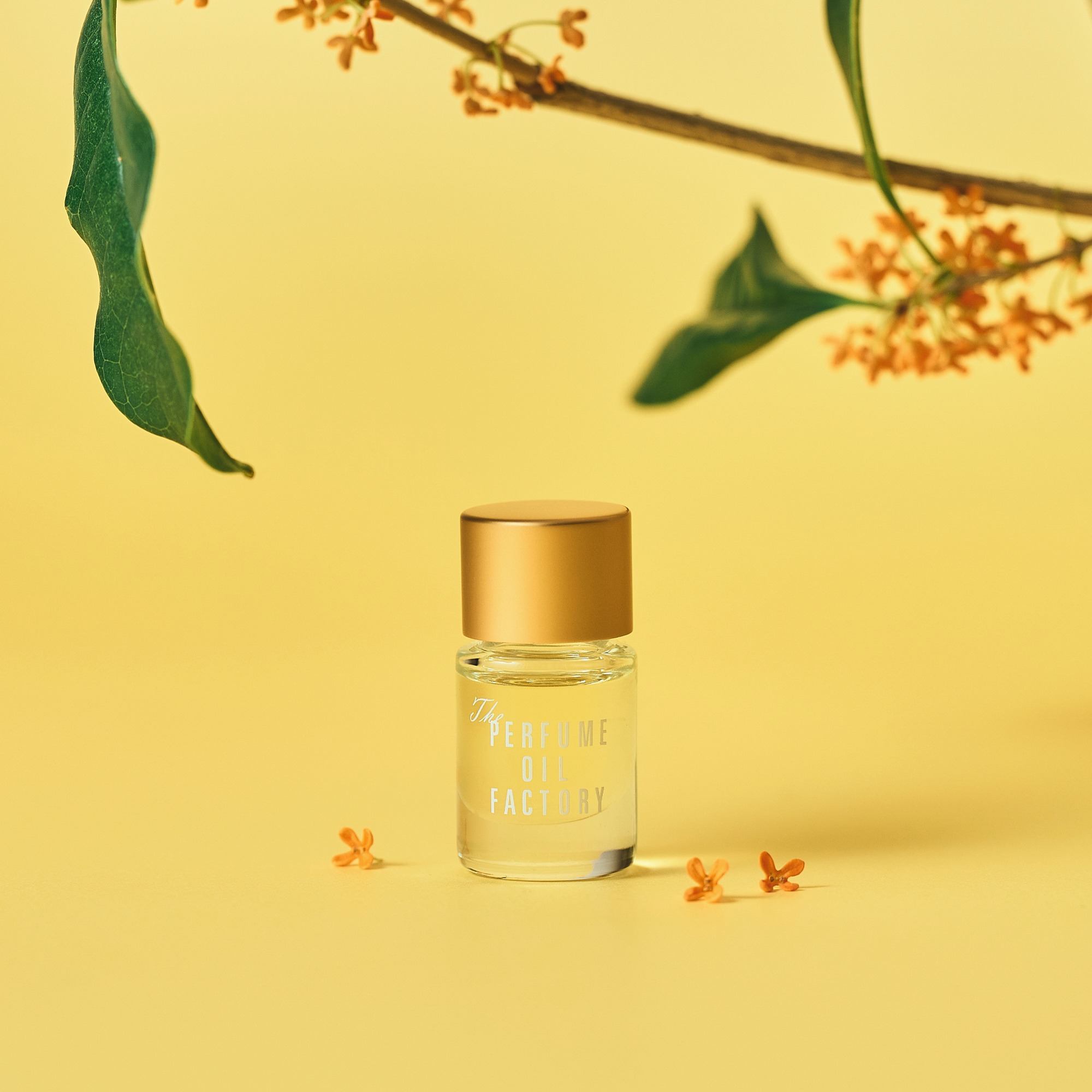 The Perfume Oil Factory | Chuo-ku Tokyo