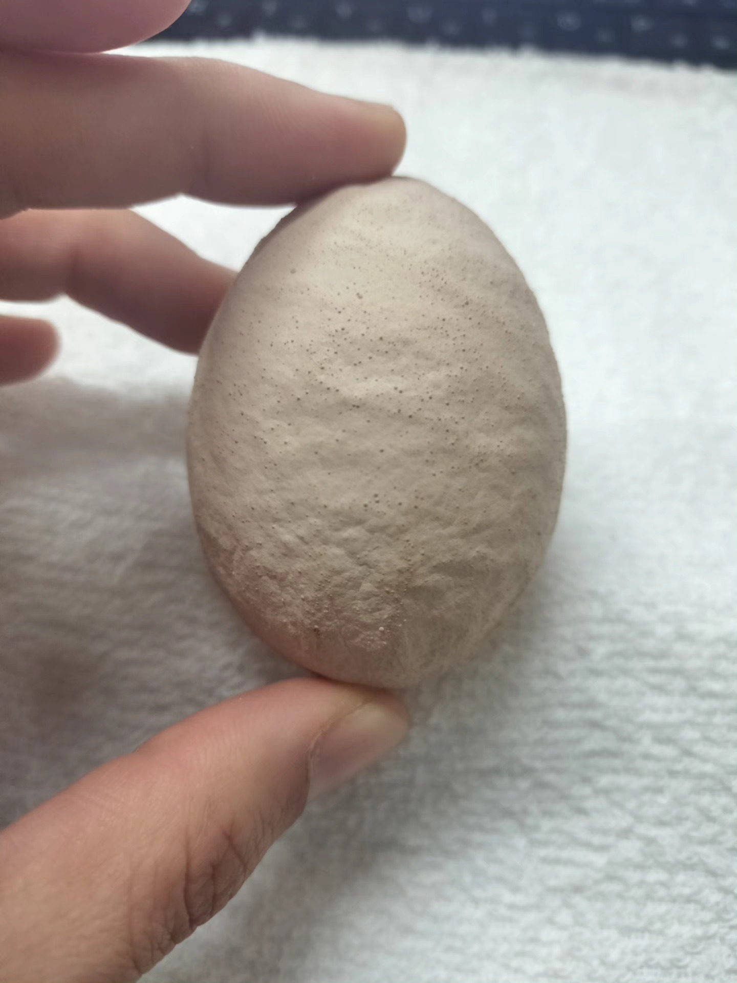 ボディーチェック卵』です🥚 殻の表面がザラザラしててコンクリート