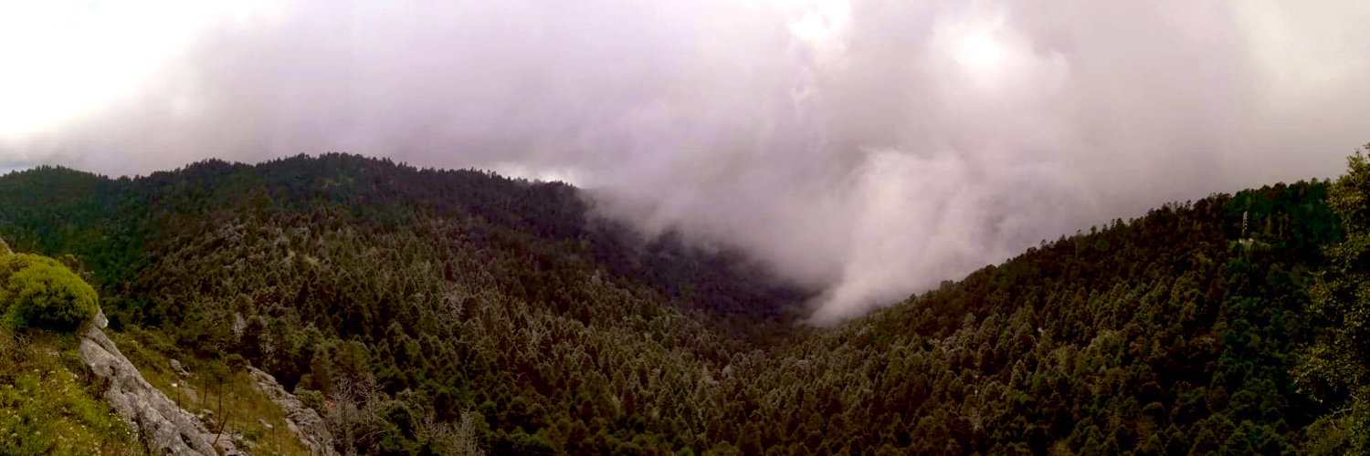 El Rincón del Botánico