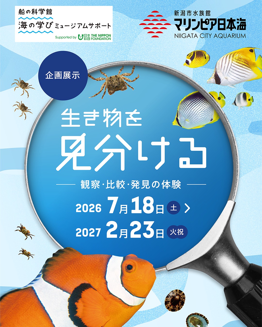 新潟市水族館マリンピア日本海 | Niigata-shi Niigata