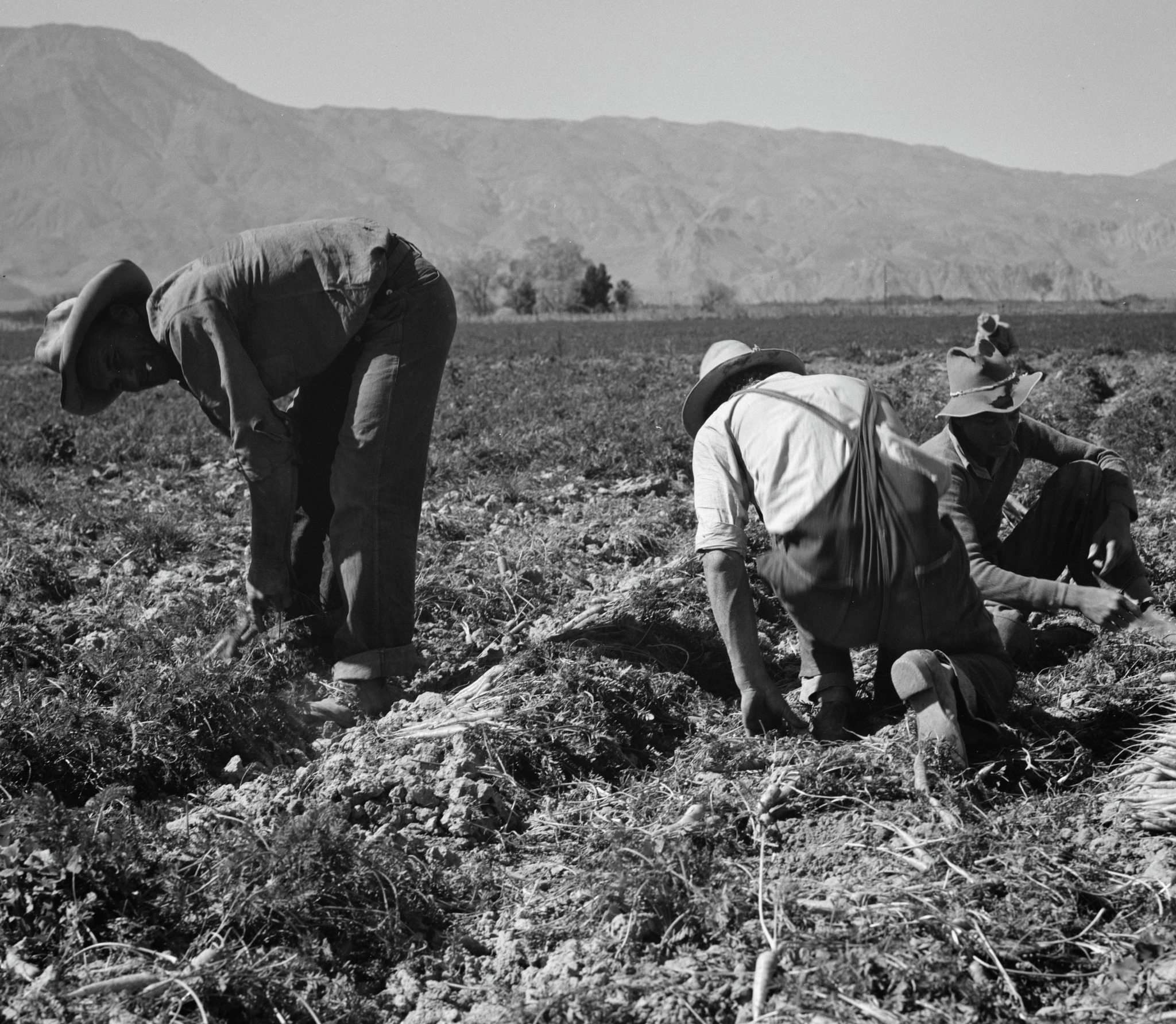 Dorothea - Creator(s): Lange, Dorothea, photographer Title: Some of the ...