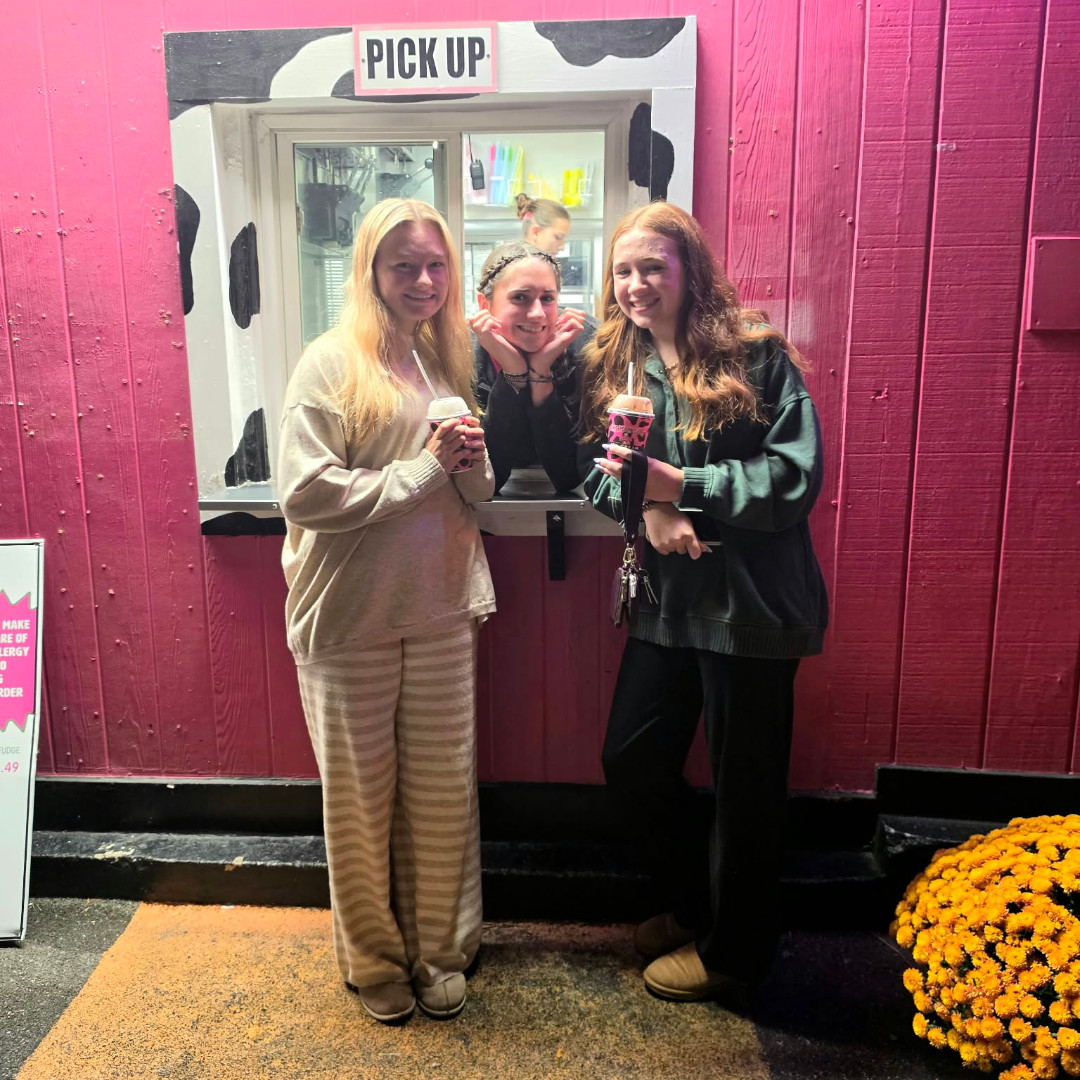 The Pink Cow Ice Cream Shop and Momma Cow's Treat Emporium | Alden NY