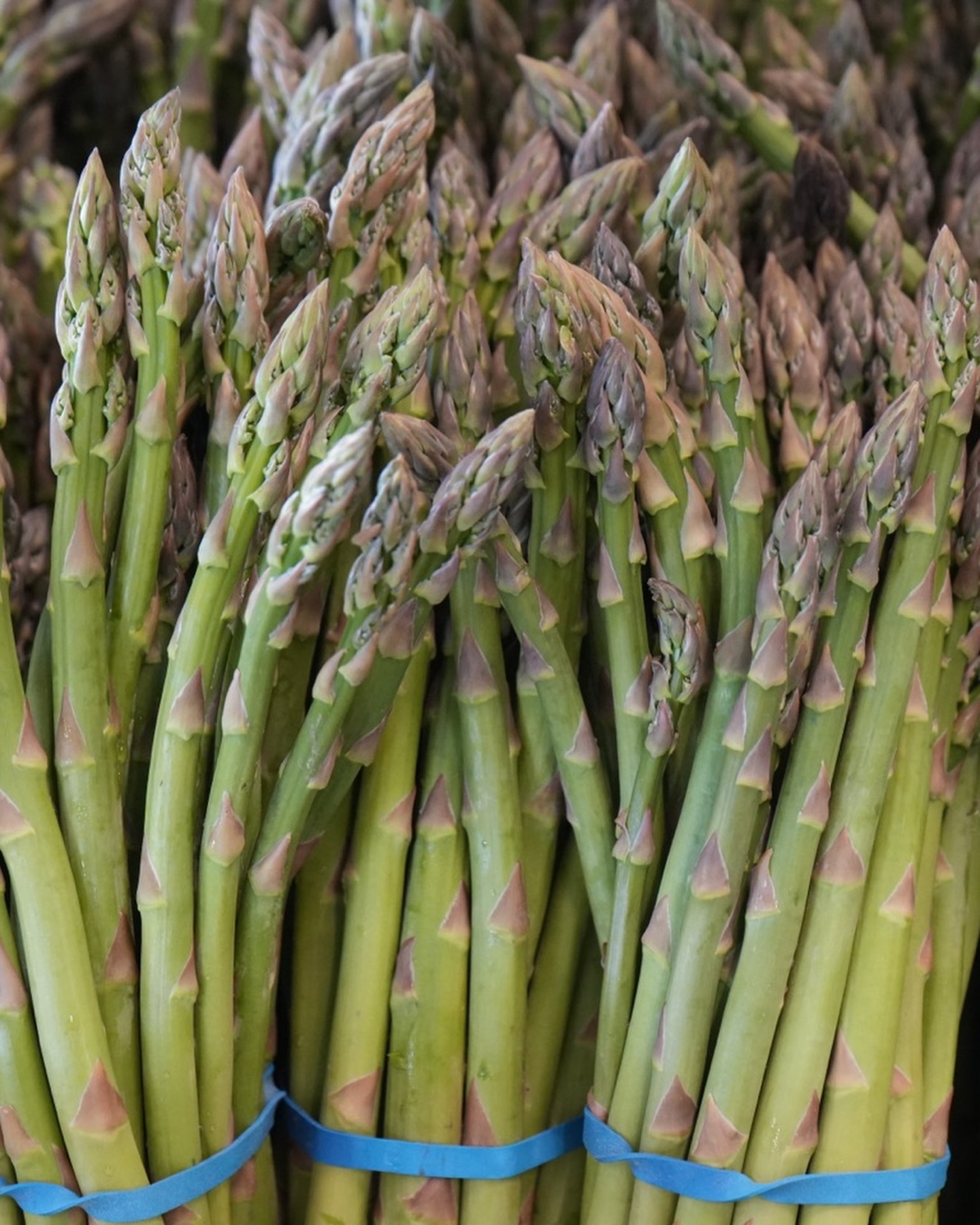 Nutritional benefits and cooking methods for fresh BC asparagus