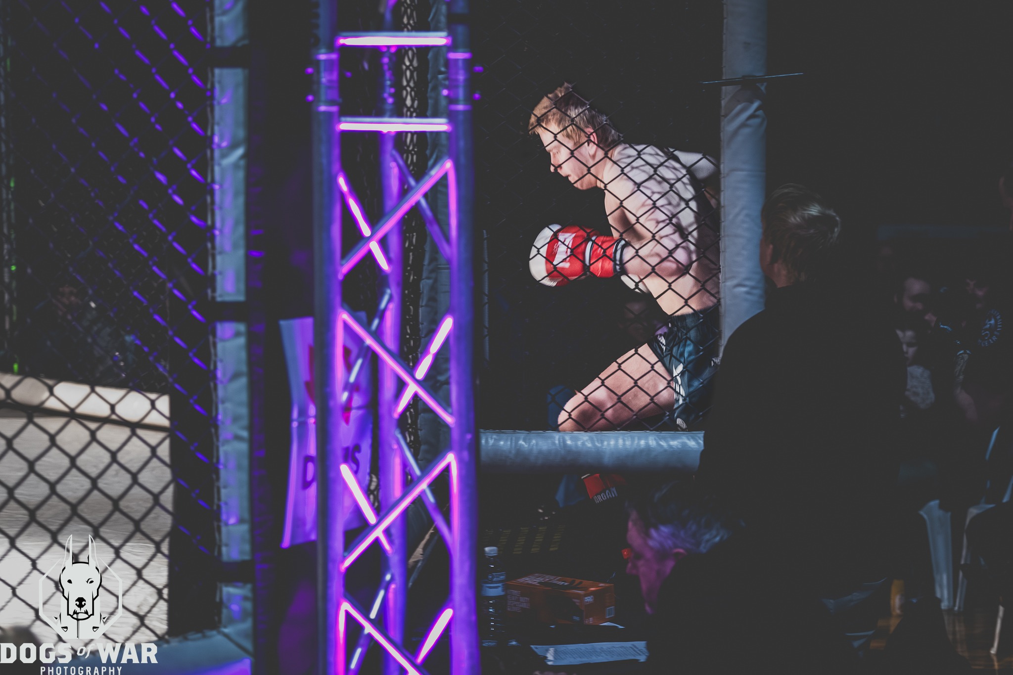 Dogs of War Combat Sports