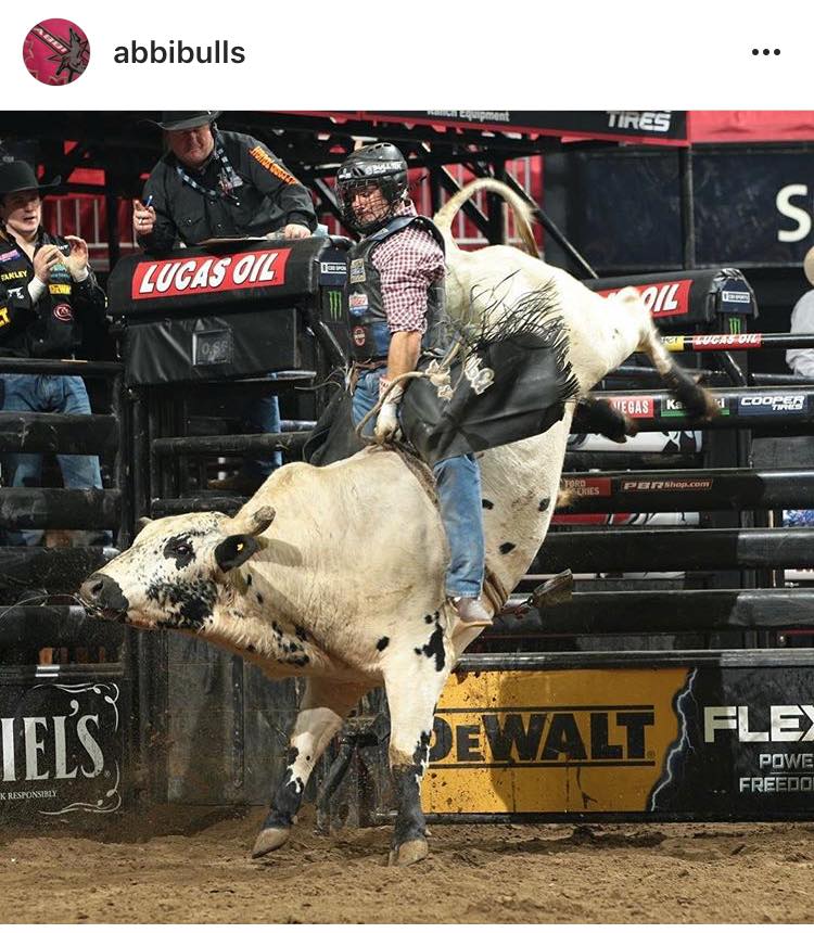 Cody Ford-Professional Bull Rider