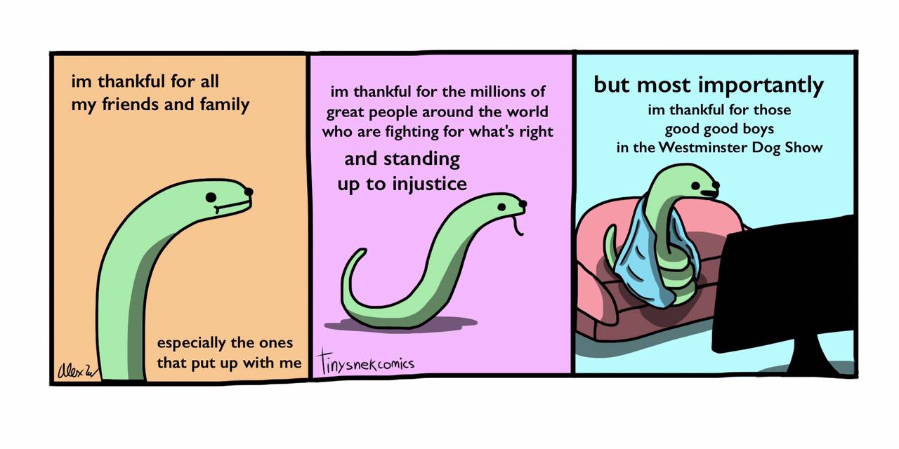 comment-something-someone-that-you-re-tiny-snek-comics