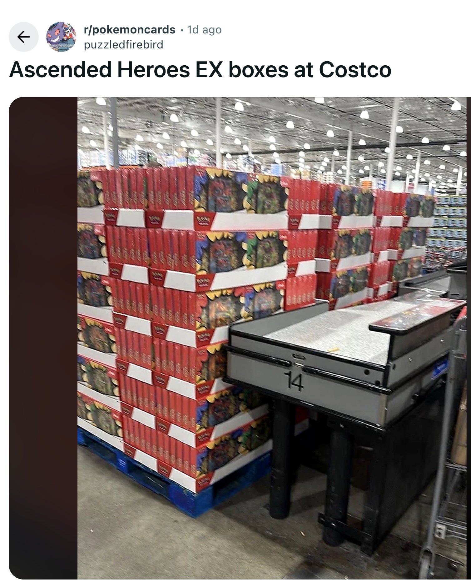 costco and pokemon cards Prismatic Evolutions Mini Tin Bundle  Evolve Card Shop From fluffy and fiery to freezing and fanciful HUGE Costco Pokemon Cards JACKPOT