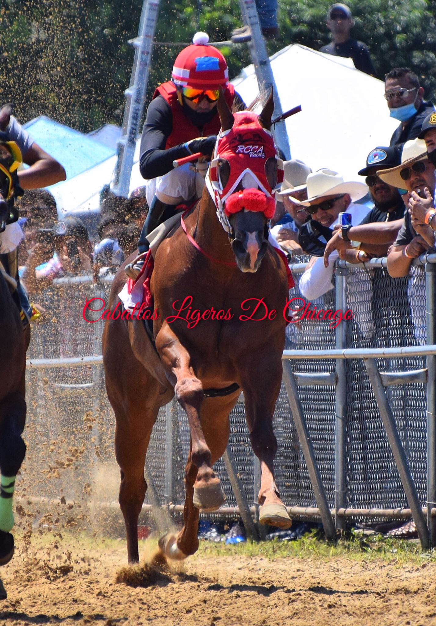 El Tucán De Cuadra RCCA - Caballos Ligeros De Chicago