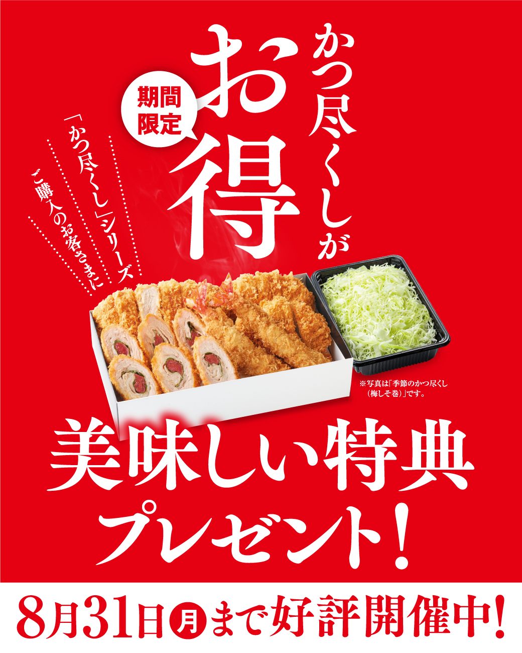 食品サンプル エビフライ トンカツ 卵とじ キャベツ千切り 胡瓜 部分