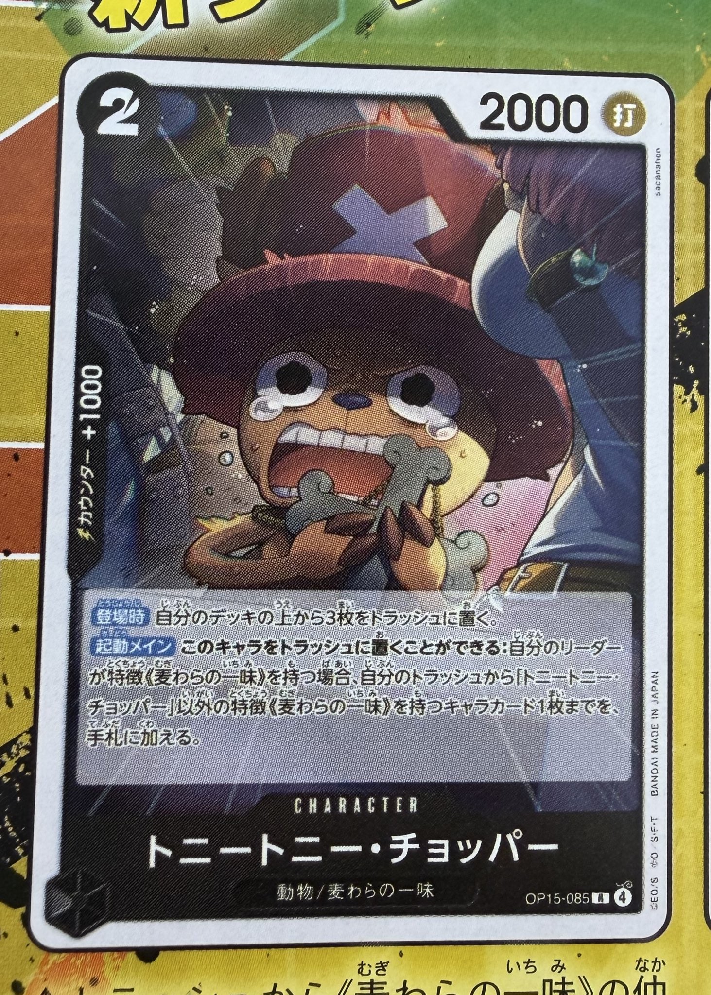 New Straw Hats for OP15 shown via magazine!