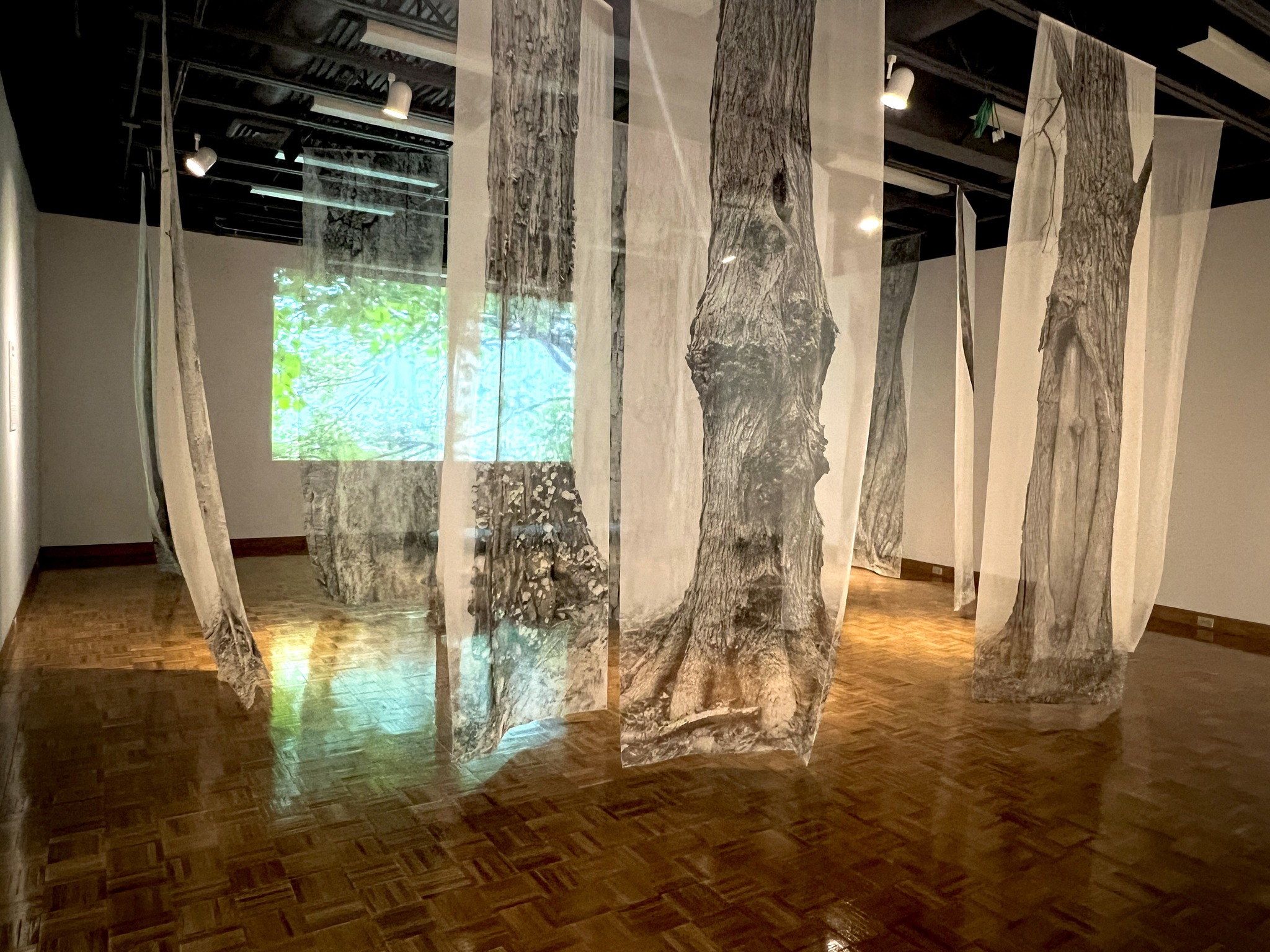 Artists’ Reception for Uprooted
