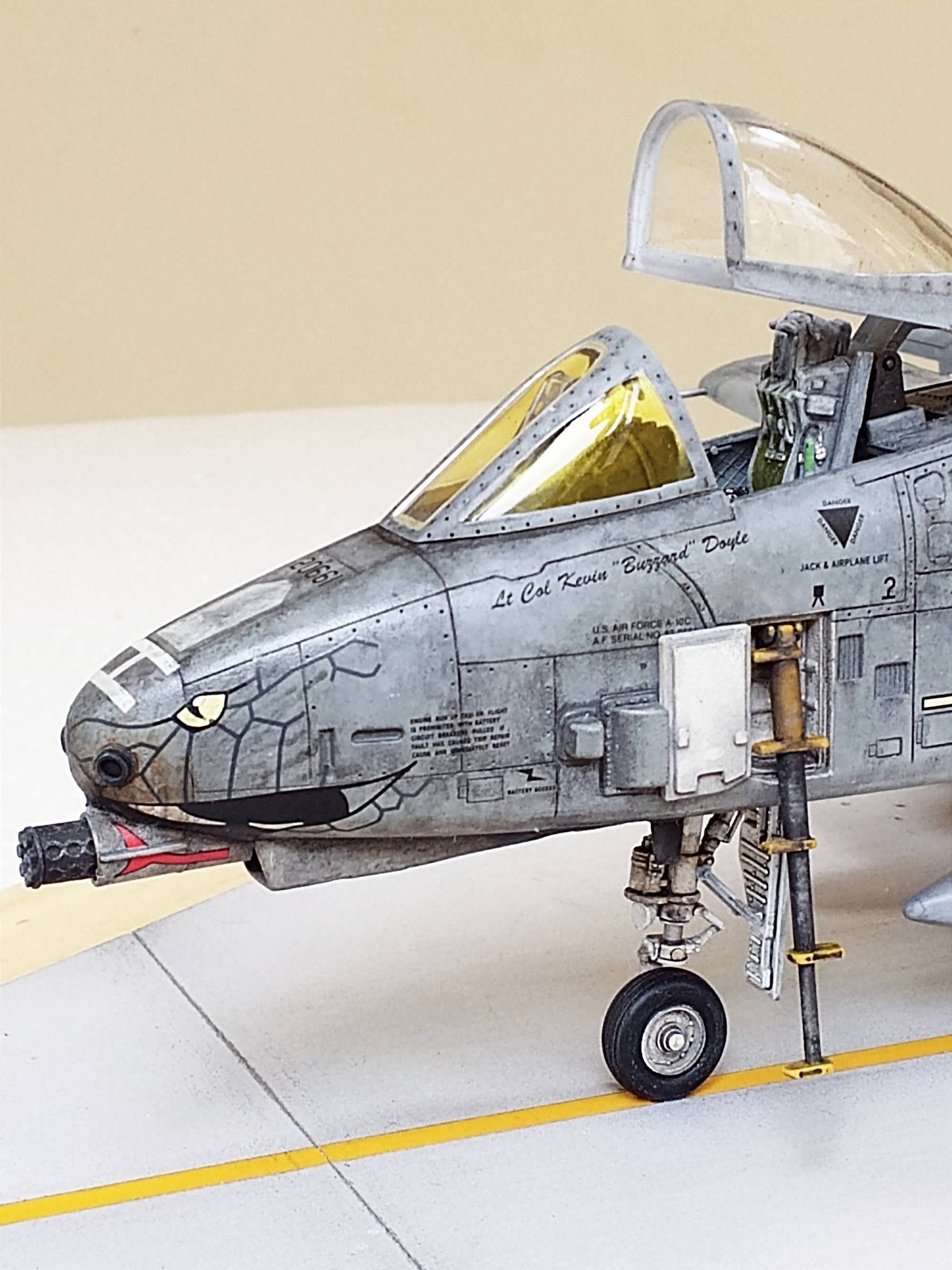 Italeri 1/48 A-10C model from 163rd FS Blacksnakes