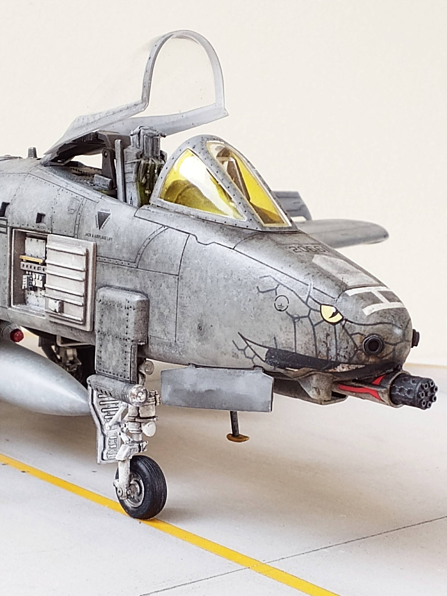 Italeri 1/48 A-10C model from 163rd FS Blacksnakes