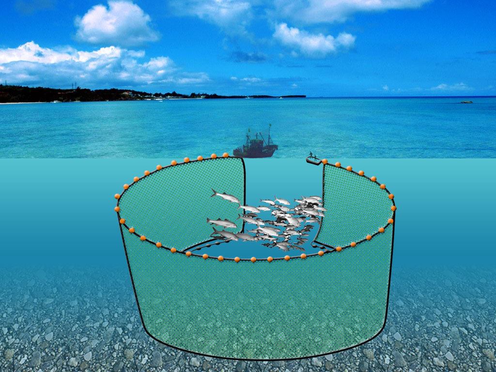 Gerakan Nasional Masyarakat Perikanan Indonesia Mengenal Alat Tangkap Purse Seinse I Definisi Purse Seine Purse Seine Disebut Juga Pukat Cincin Karena Alat Tangkap Ini Dilengkapi Dengan Cincin Untuk Mana Tali Cincin