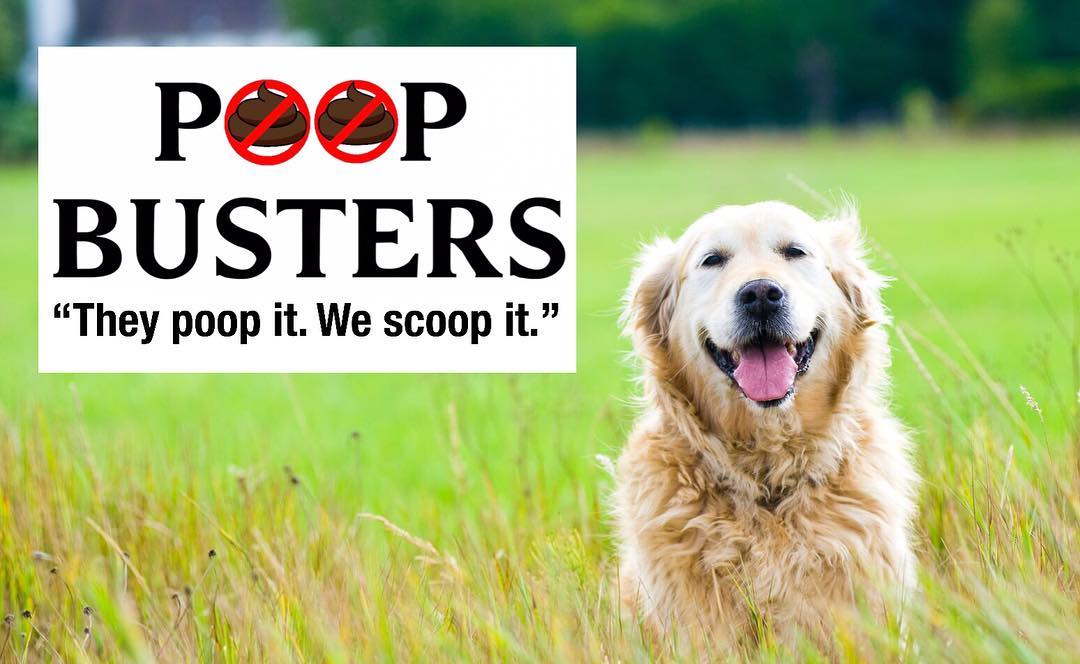 Poop Busters Indy