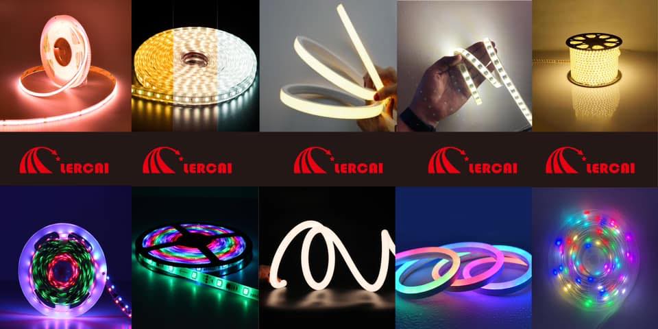 LED, LED STRIP LIGHT, SMD LED STRIP LIGHTS,LED Lighting,LED LIGHT. | LF ...
