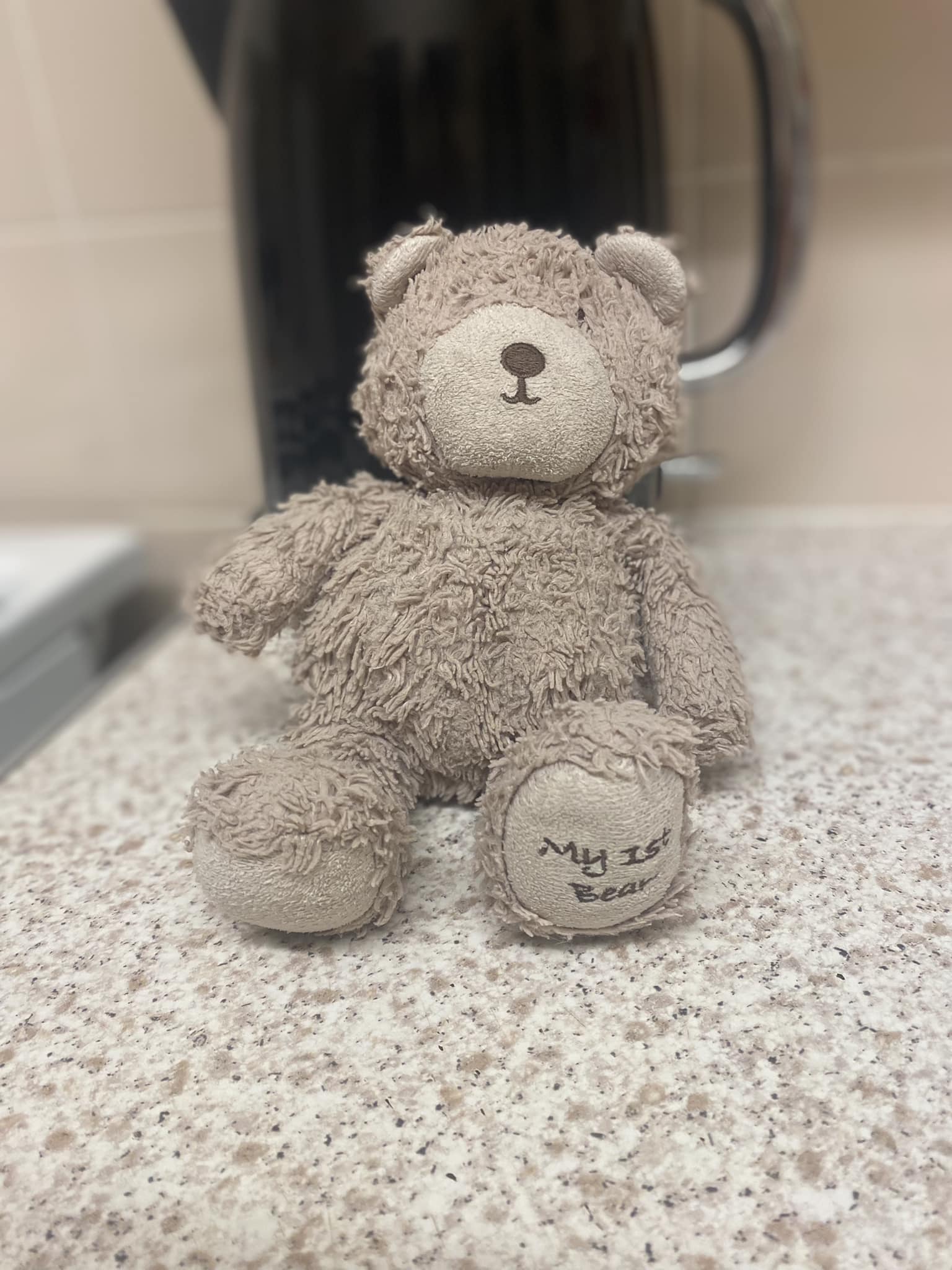 Lost Fearless Teddy from Taylor Swift's website