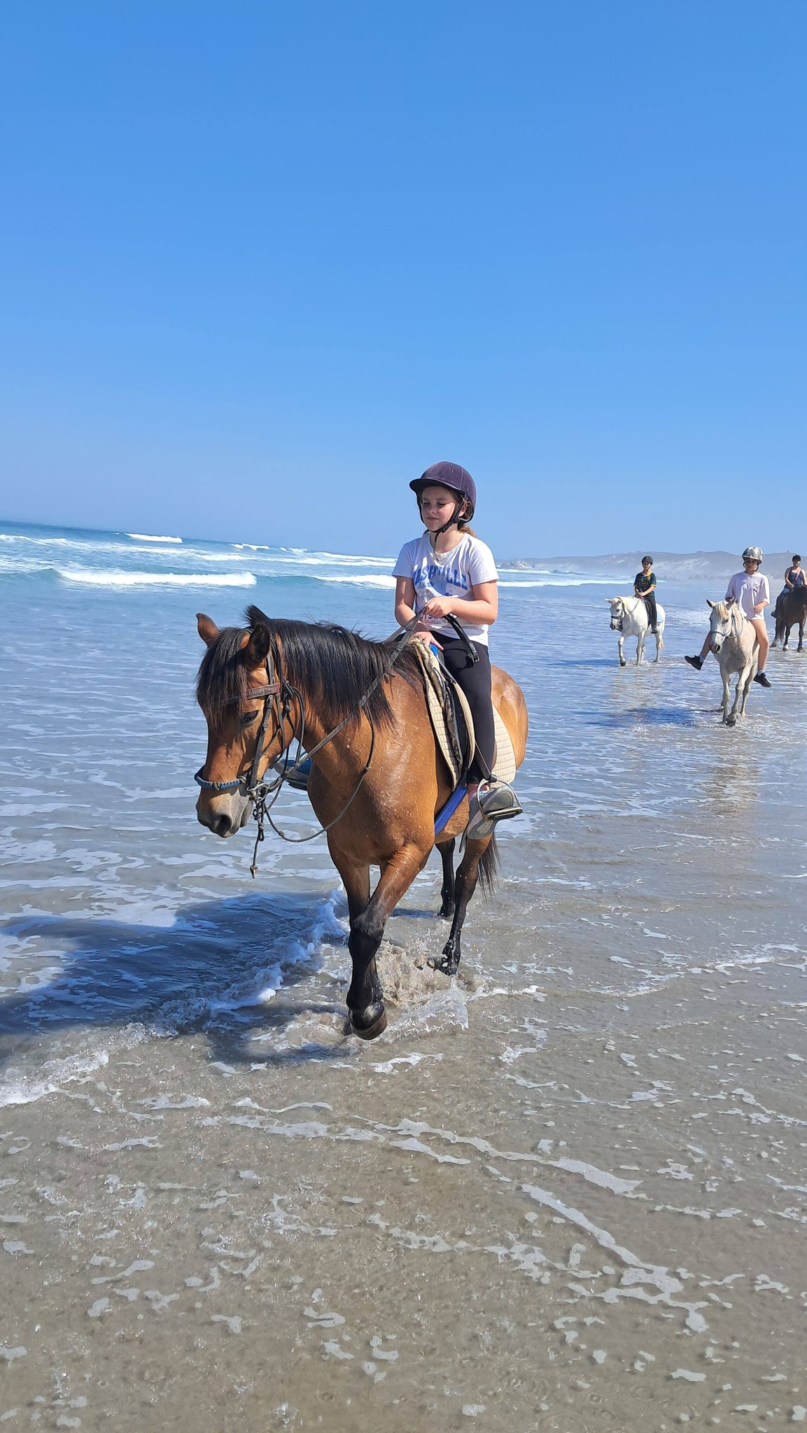 Drikus Horse Trails | Paternoster