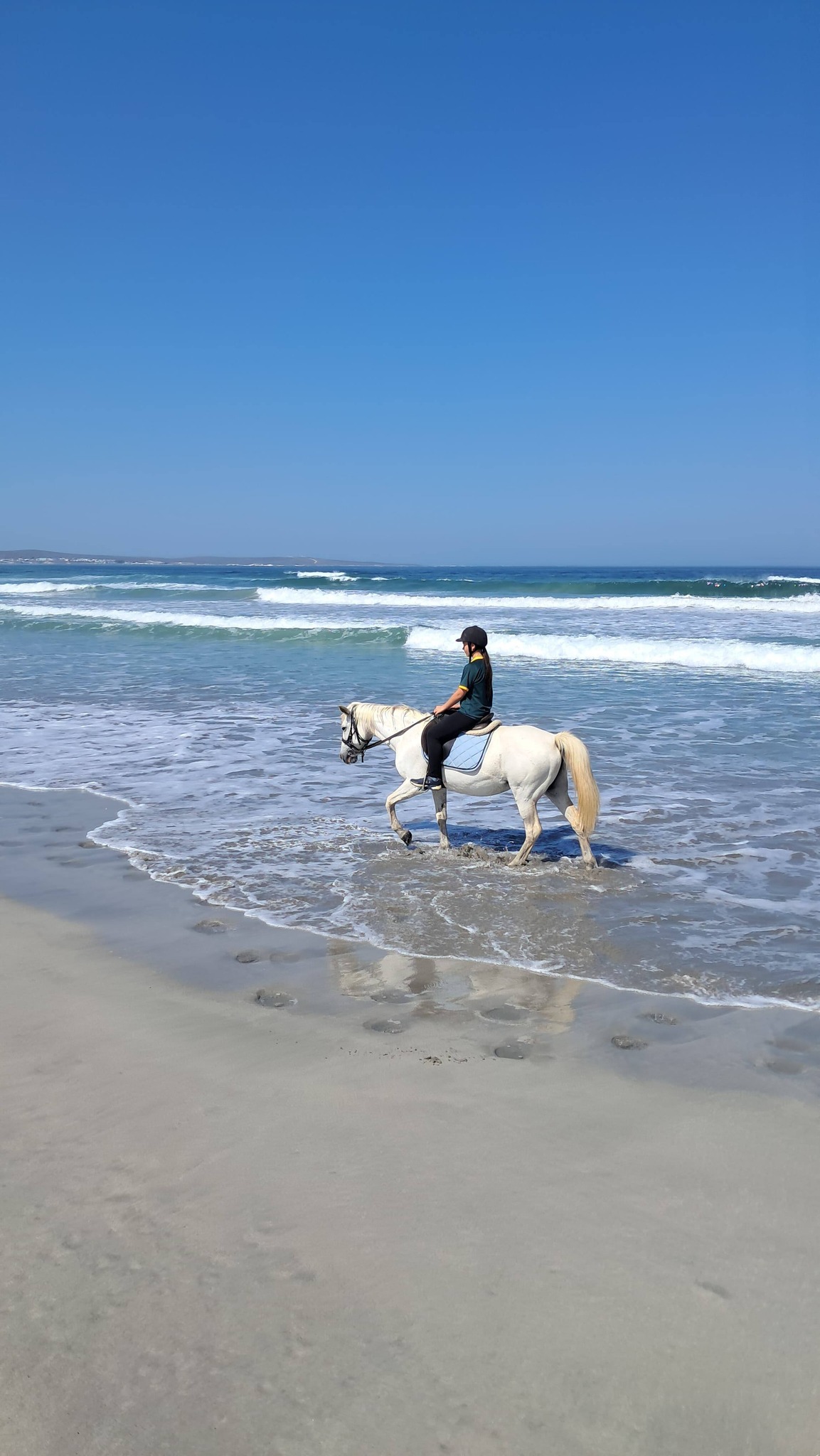 Drikus Horse Trails | Paternoster