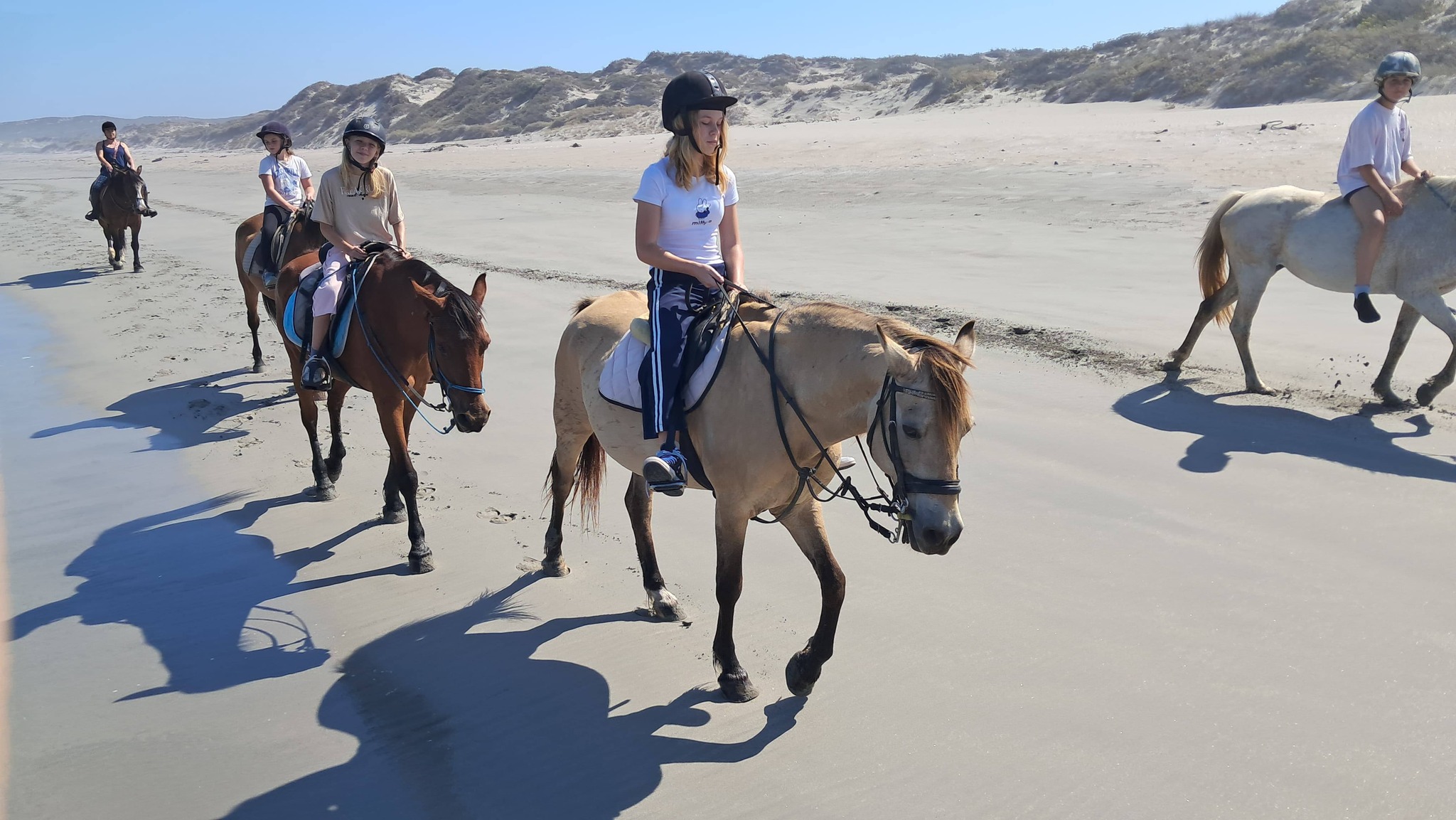 Drikus Horse Trails | Paternoster