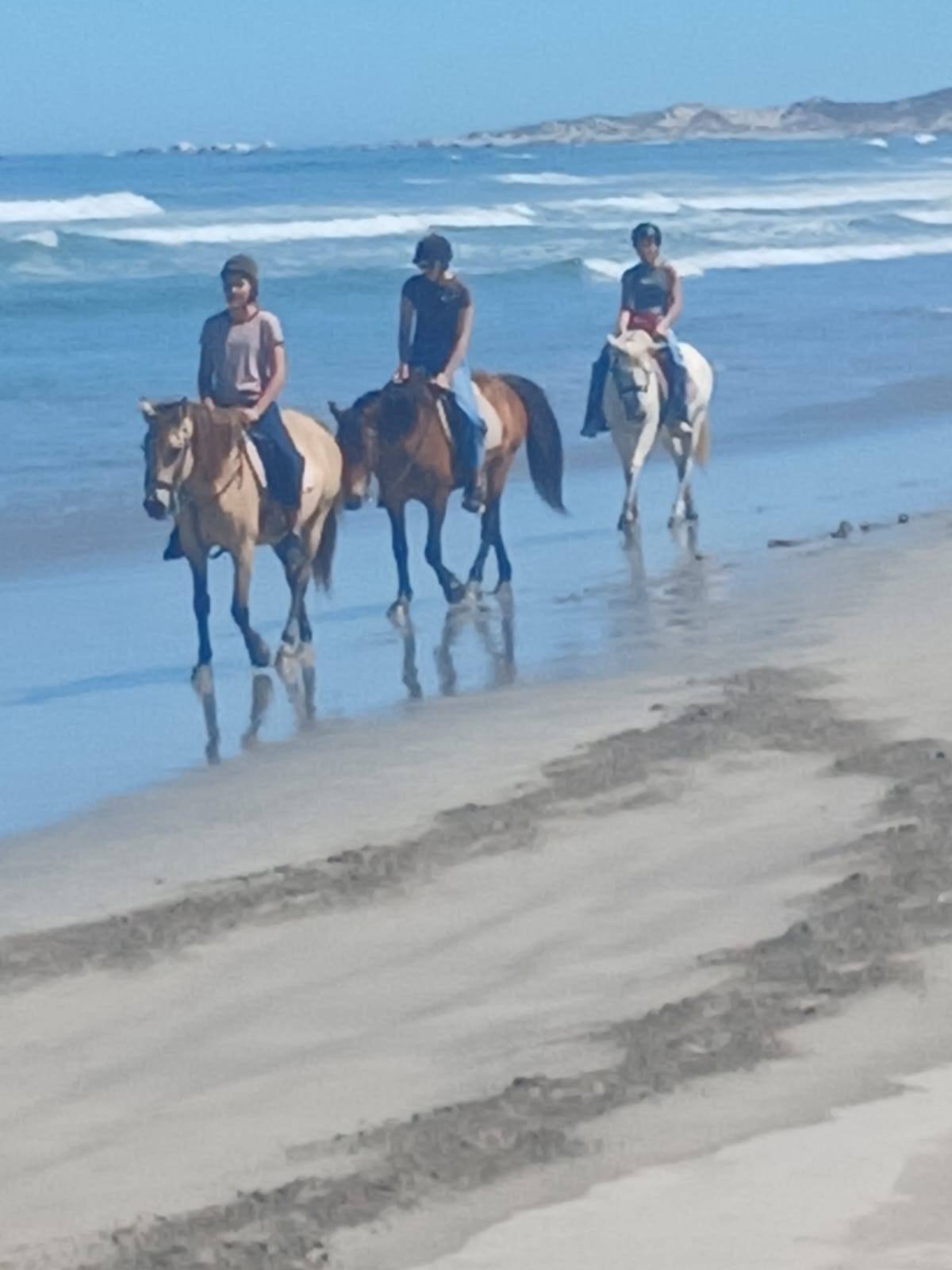 Drikus Horse Trails | Paternoster