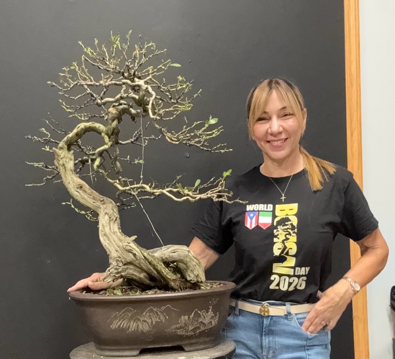 Jade Bonsai PR on Reels