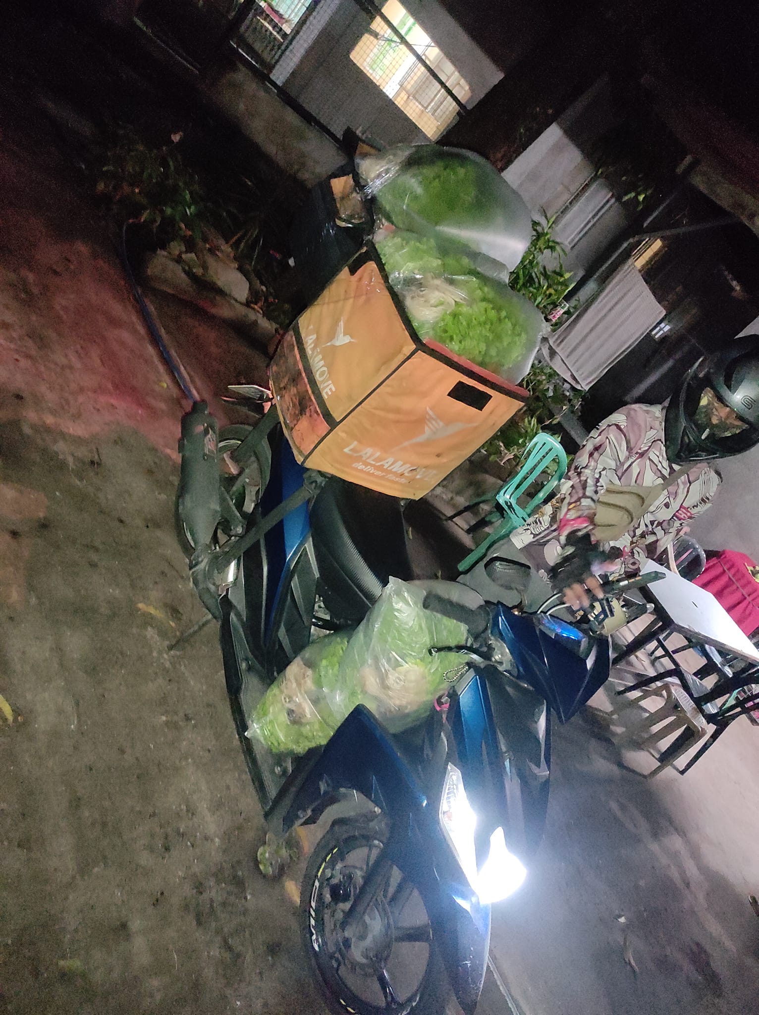 The Green Thumb Hydroponics Farm | Imus