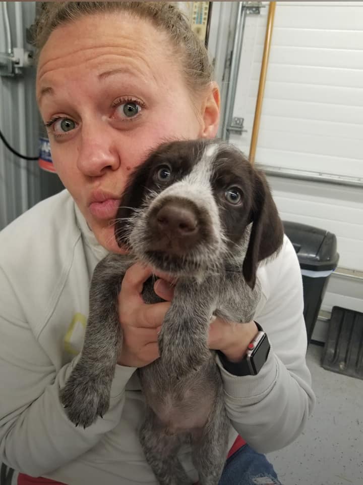 wheatland-kennels