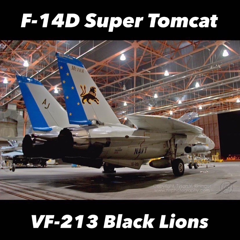 VF-213 Black Lions' final deployment with Grumman F-14D Super Tomcat