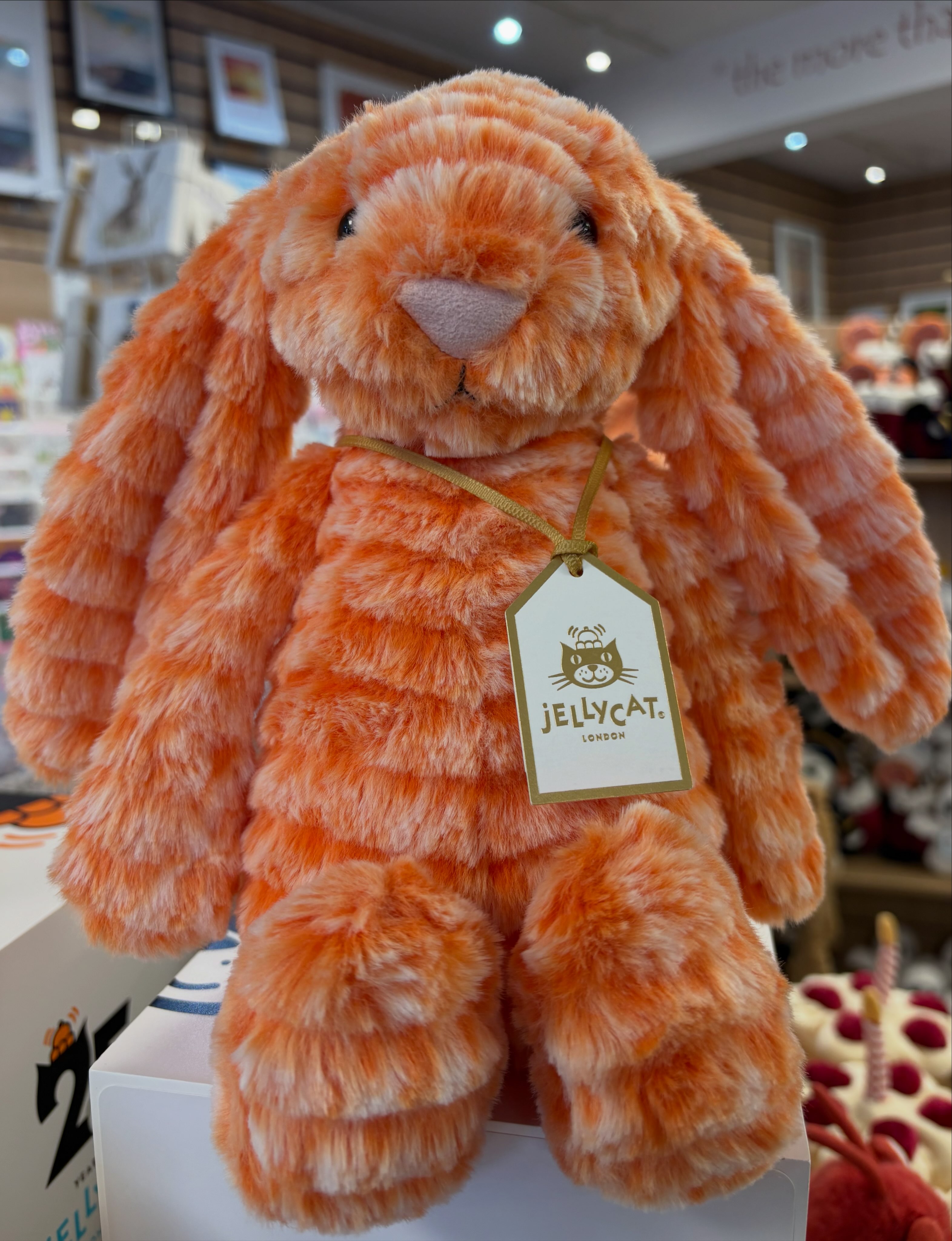 New! My name is Puddlesea Bunny 🐰💙#jellycat