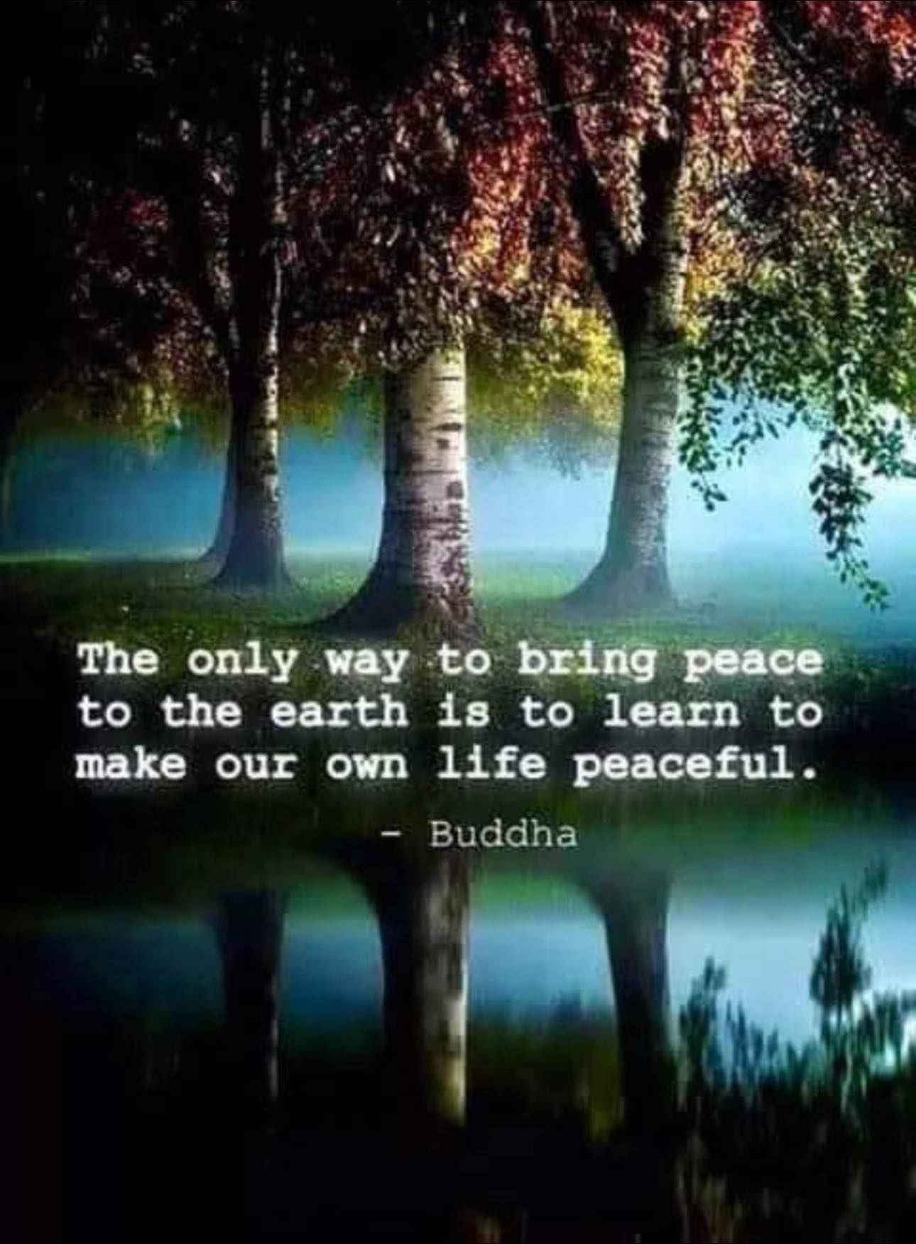 The Collective Spiritual Consciousness | Not just surface level peace ...