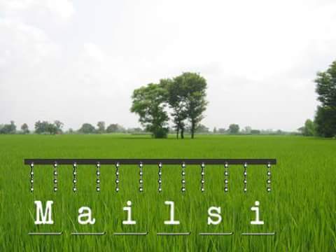 mera-mailsi-2025-1-2025-facebook