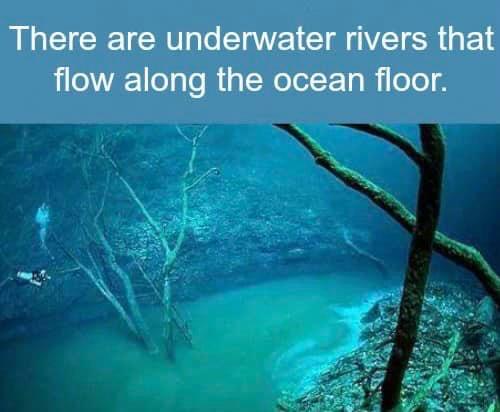 Fun Fact Friday 🌟 //Image: Pinterest - Let's Talk Science SFU