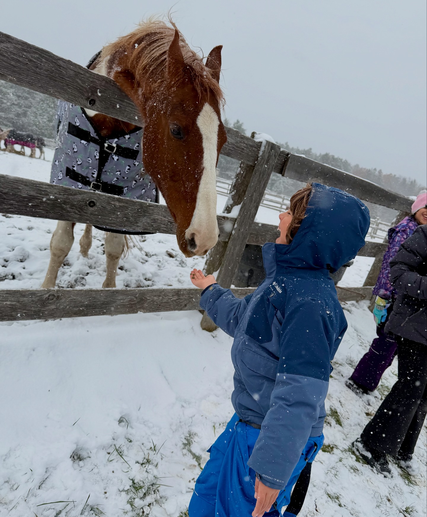 The Crystal Ladder Ranch | Newmarket ON