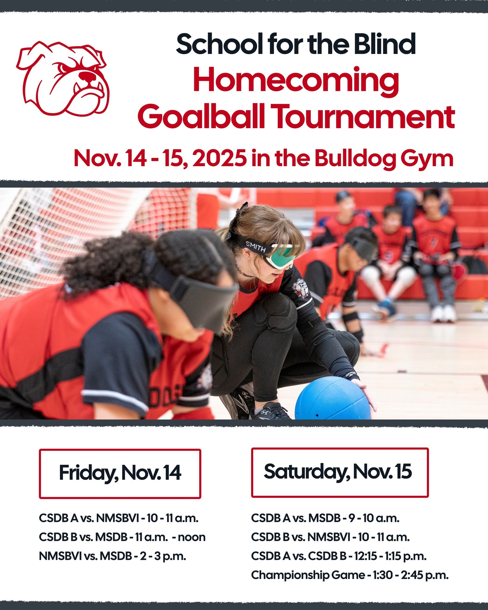 Colorado - Who's ready for a goalball tournament? CSDB's School for the ...