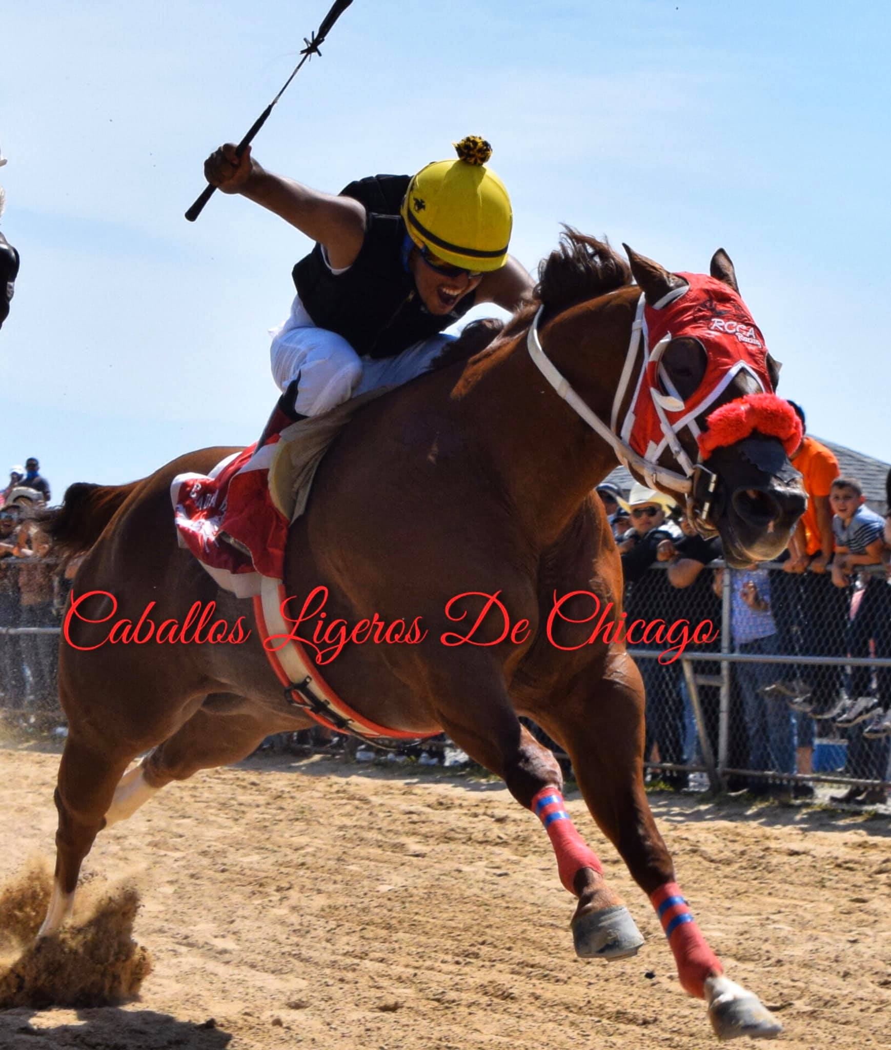 El Tornado De Cuadra RCCA - Caballos Ligeros De Chicago | Facebook