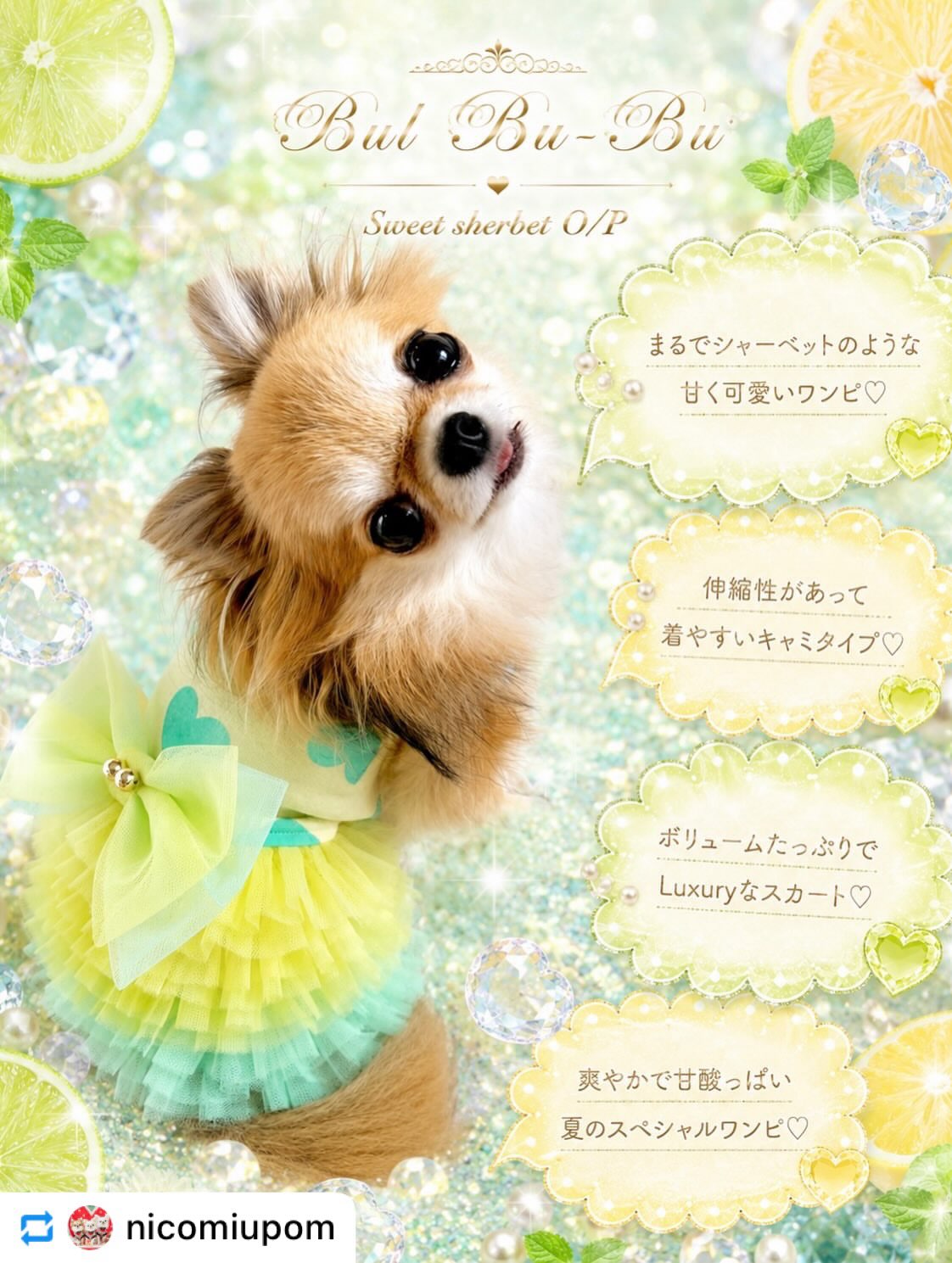 Dog Boutique BUL BU-BU (@bulbubu) • Facebook