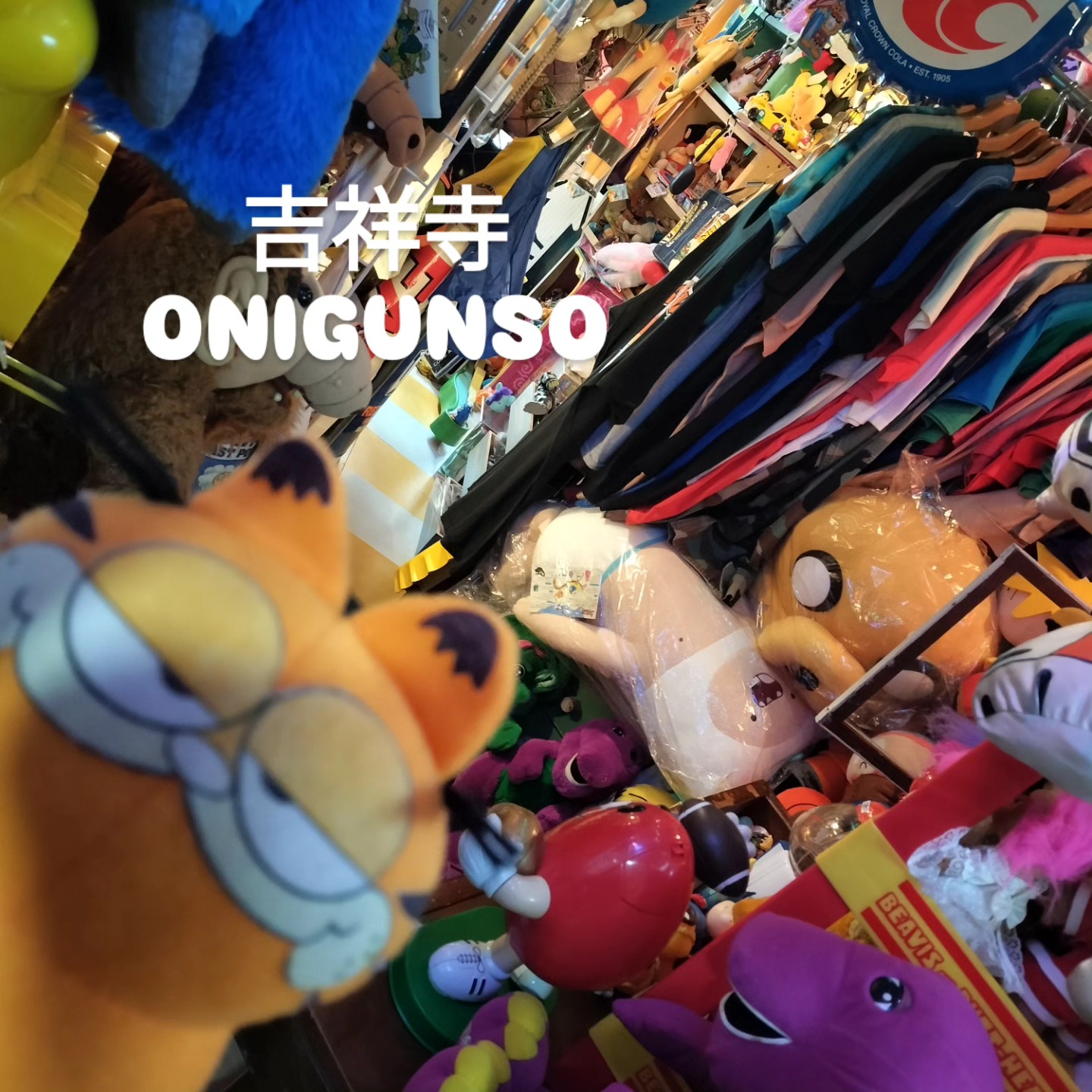 おくびょうなカーレッジくんのプラッシュです。🍆ナスになった