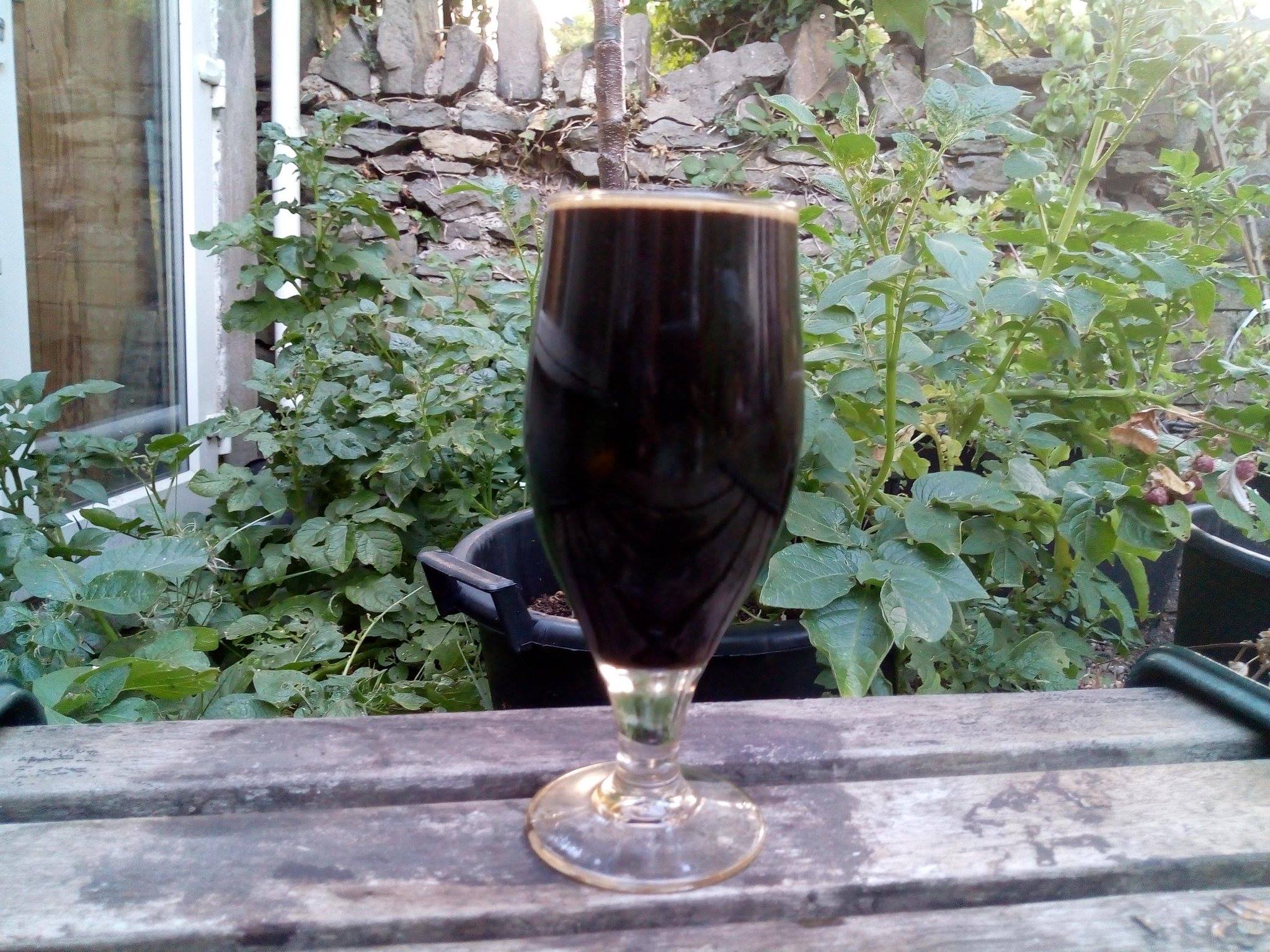 Splott Brewery