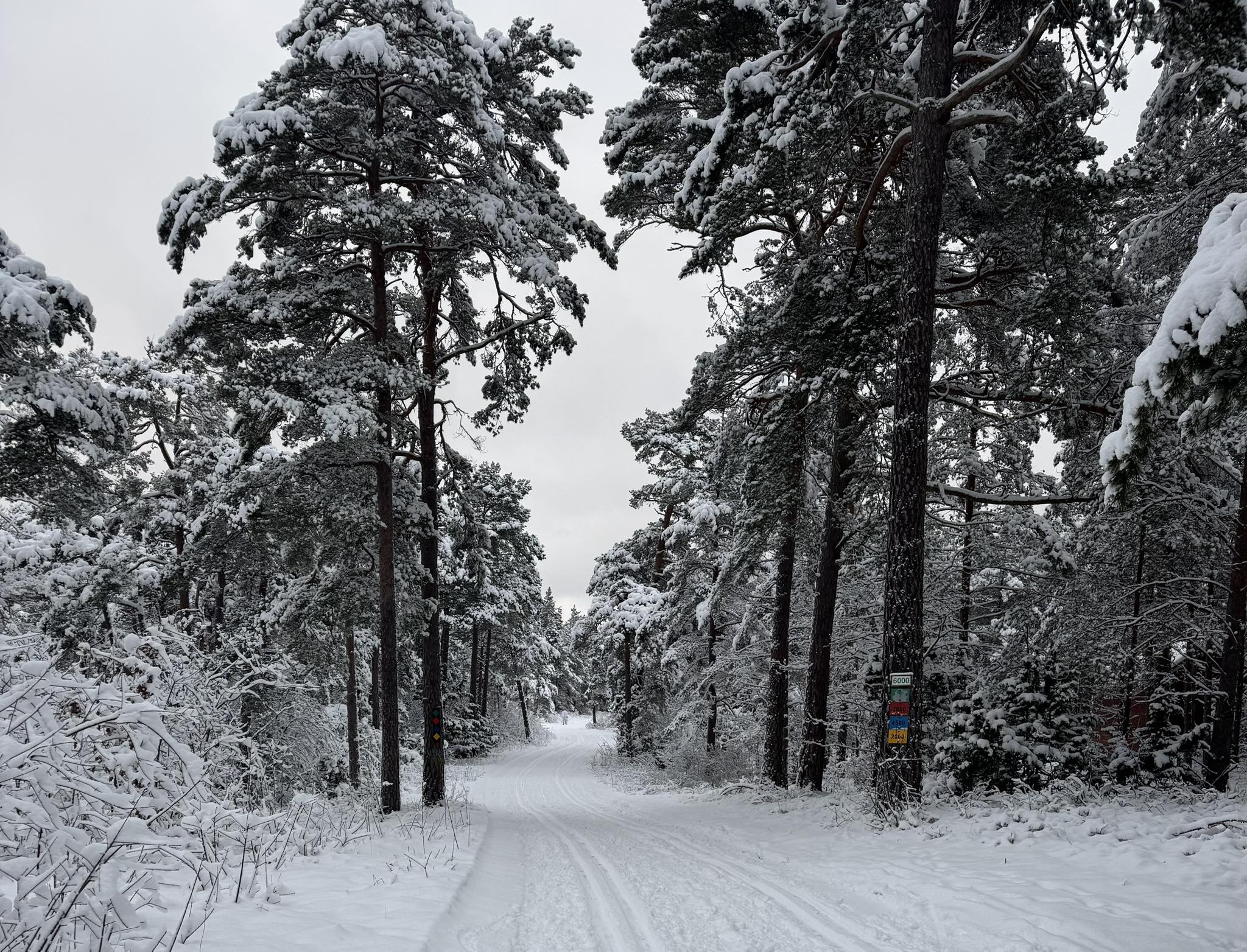 Svaide - Stort TACK till alla som kommit till Svaide de senaste dagarna ...