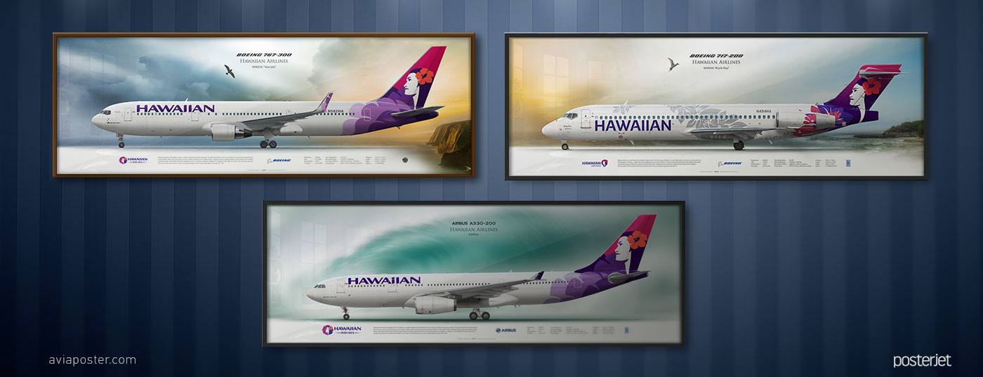 航空機・ヘリコプター Hawaiian B717 N488HA Lilo & Stitch 01 航空機
