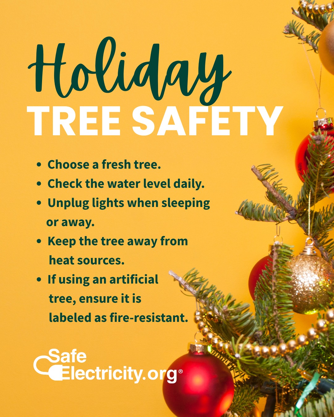 Coles-Moultrie - 🎄Keep fresh-cut trees watered and away from heat ...