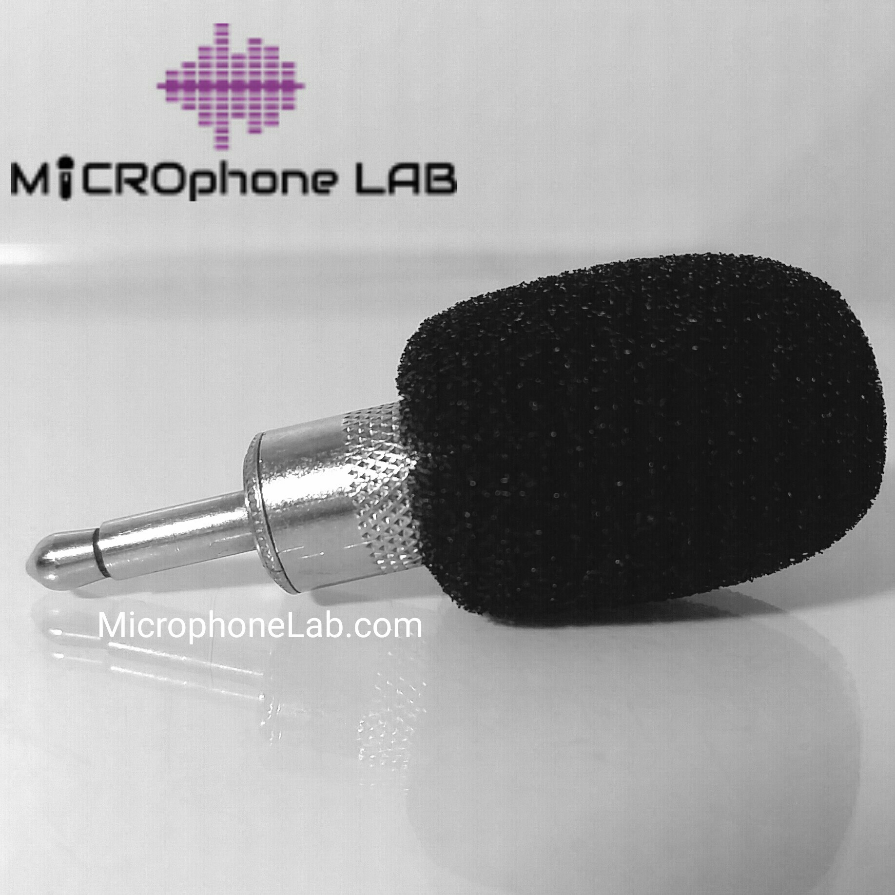 Microphone Lab