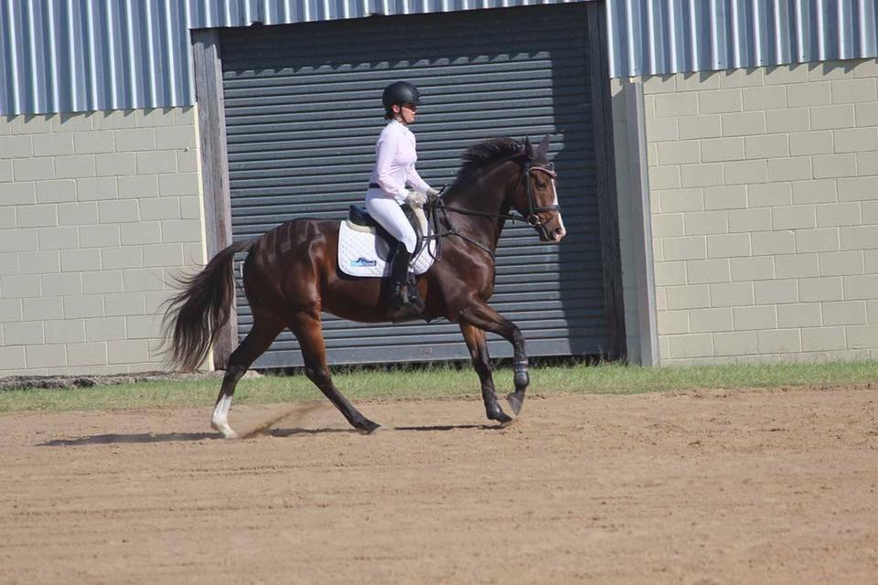 🐴 Pony Profile 🐴 Name: Dicky... - Riverview Equestrian